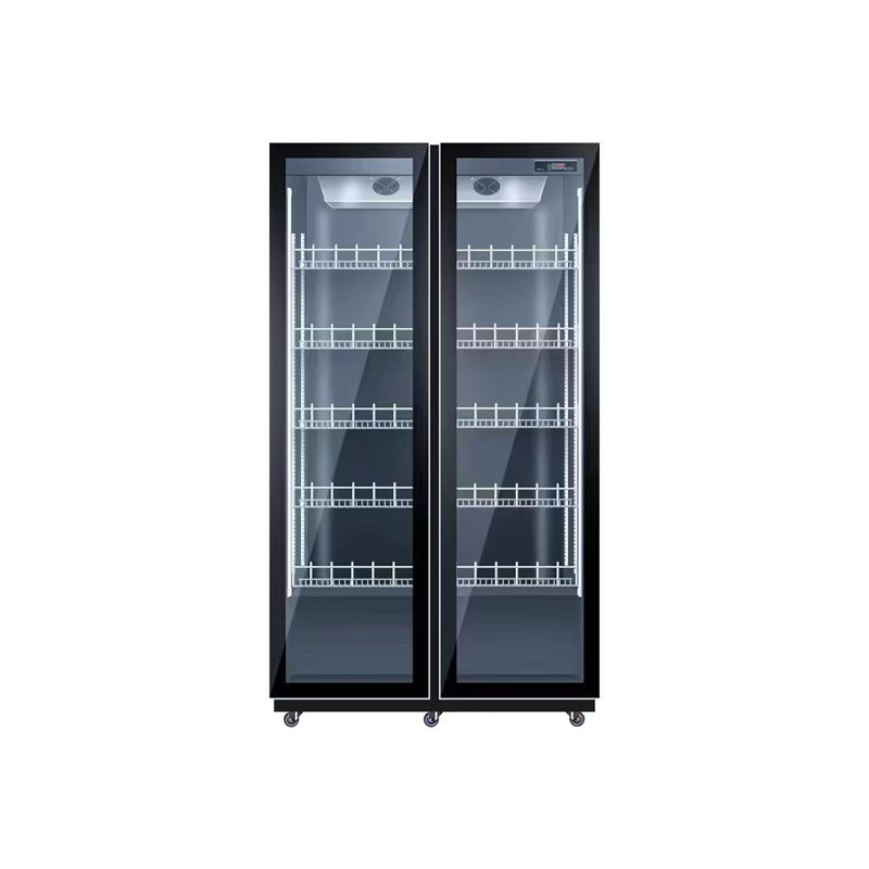 Réfrigérateur de refroidisseme - Wine Beer Dual Zone avis et prix